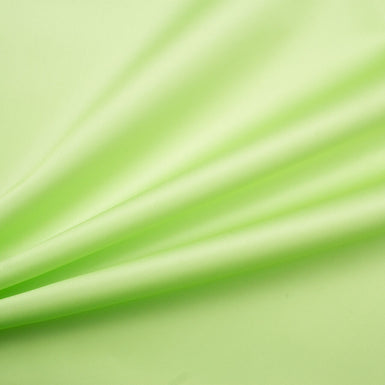 Light Green Satinised Silk Organza