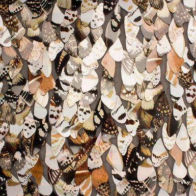 Brown Embroidered Laser Cut Butterfly Wing Fabric