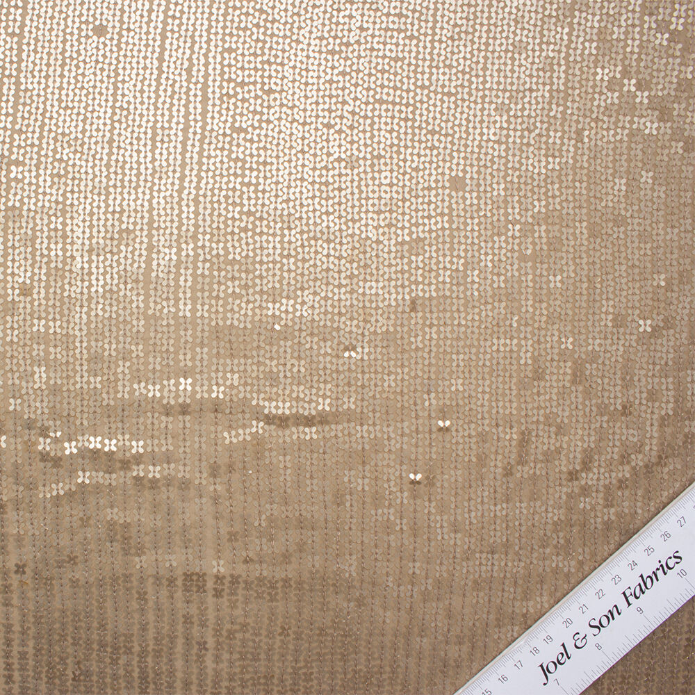 Beige Sequinned Silk Georgette