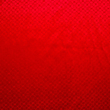 Bright Red Heat Stamped Velvet (A 1.75m Piece)