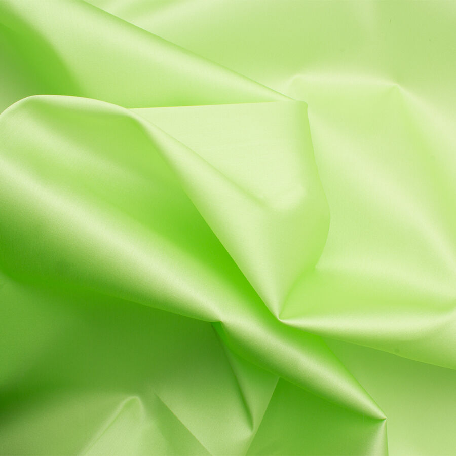 Light Green Satinised Silk Organza