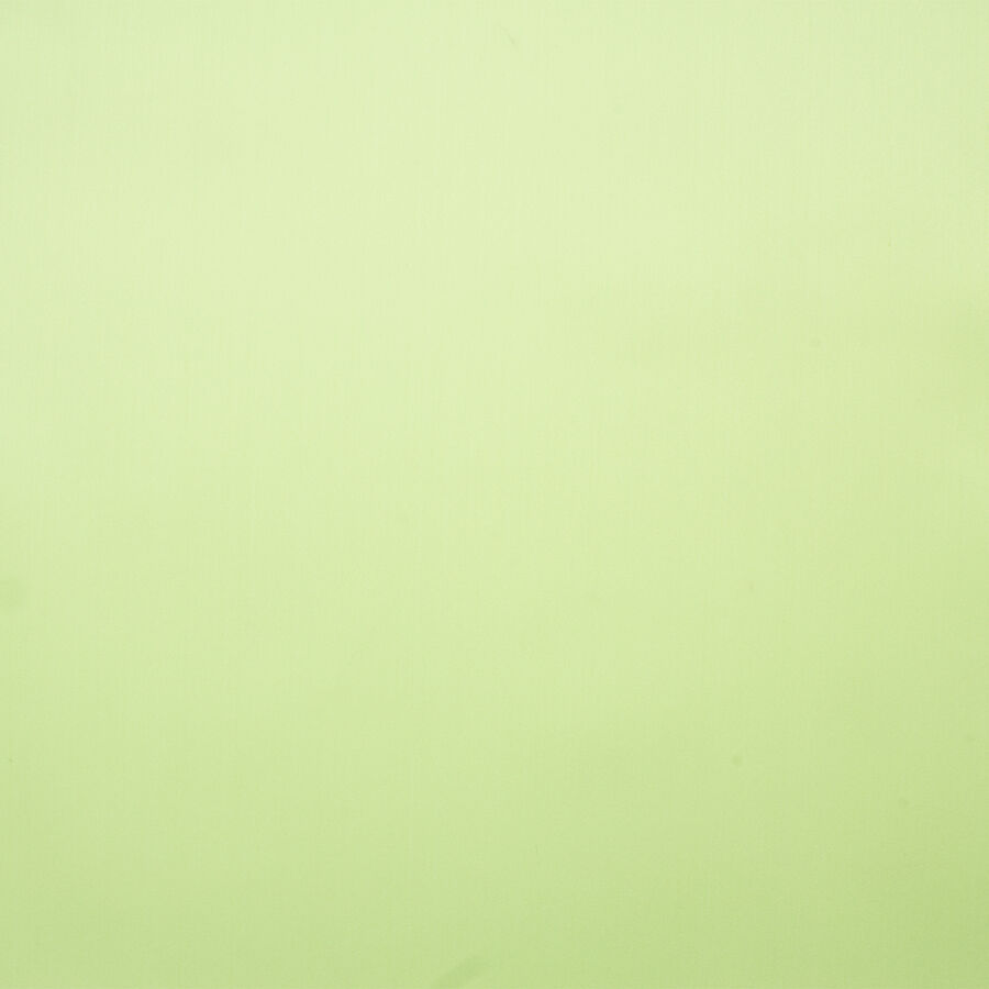 Light Green Satinised Silk Organza