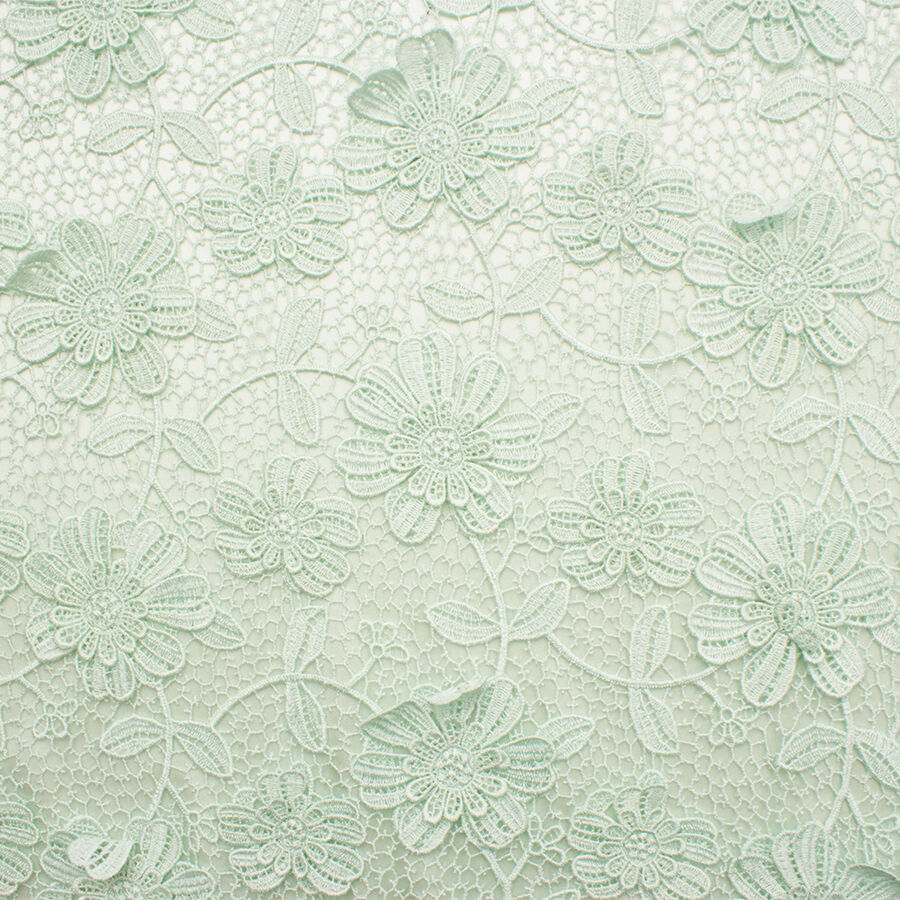 Soft Mint Green Guipure Lace