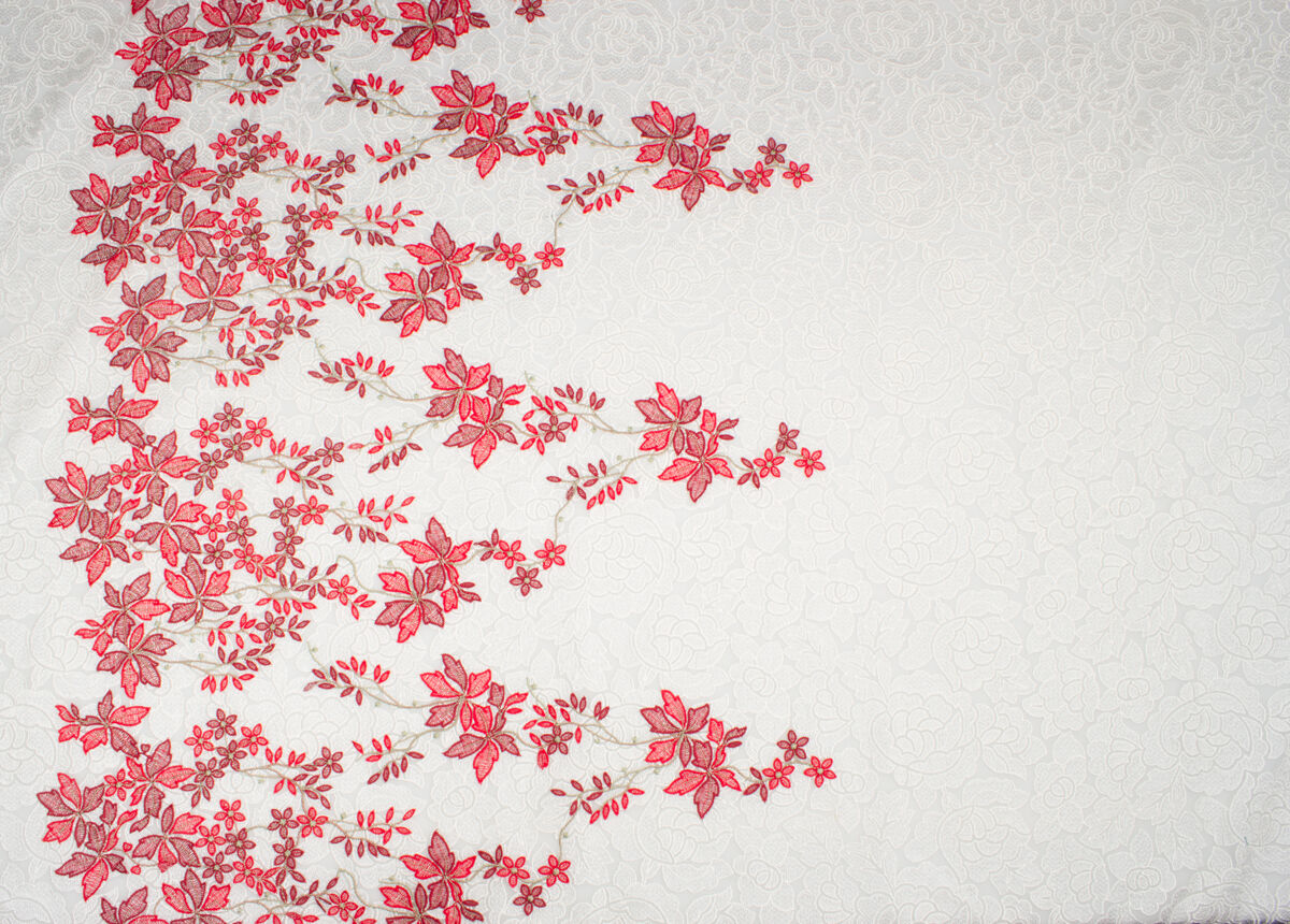 Red Embroidered Ivory Tulle