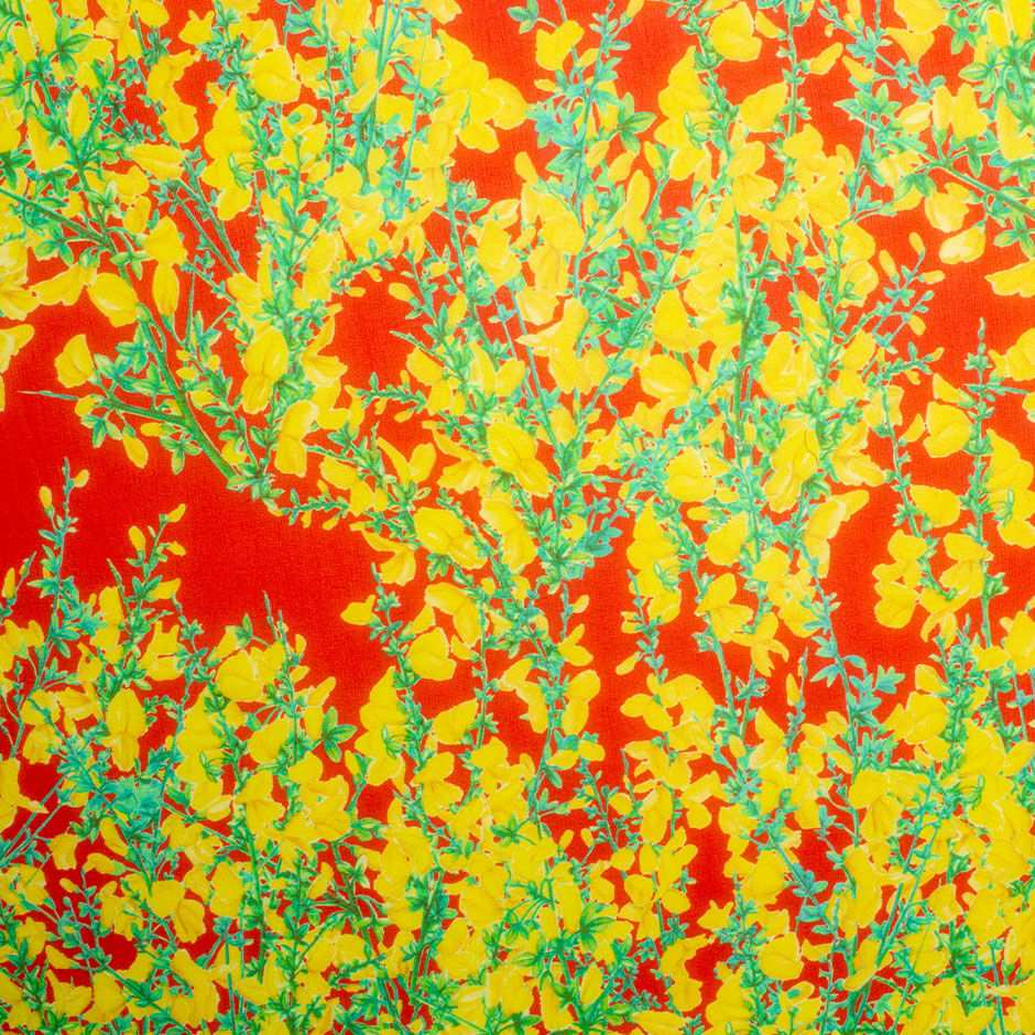 Yellow Floral Printed Red Silk Georgette Fabric