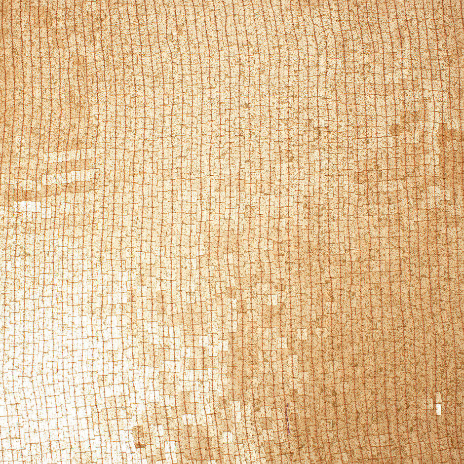 Mustard Yellow Square Sequinned Georgette