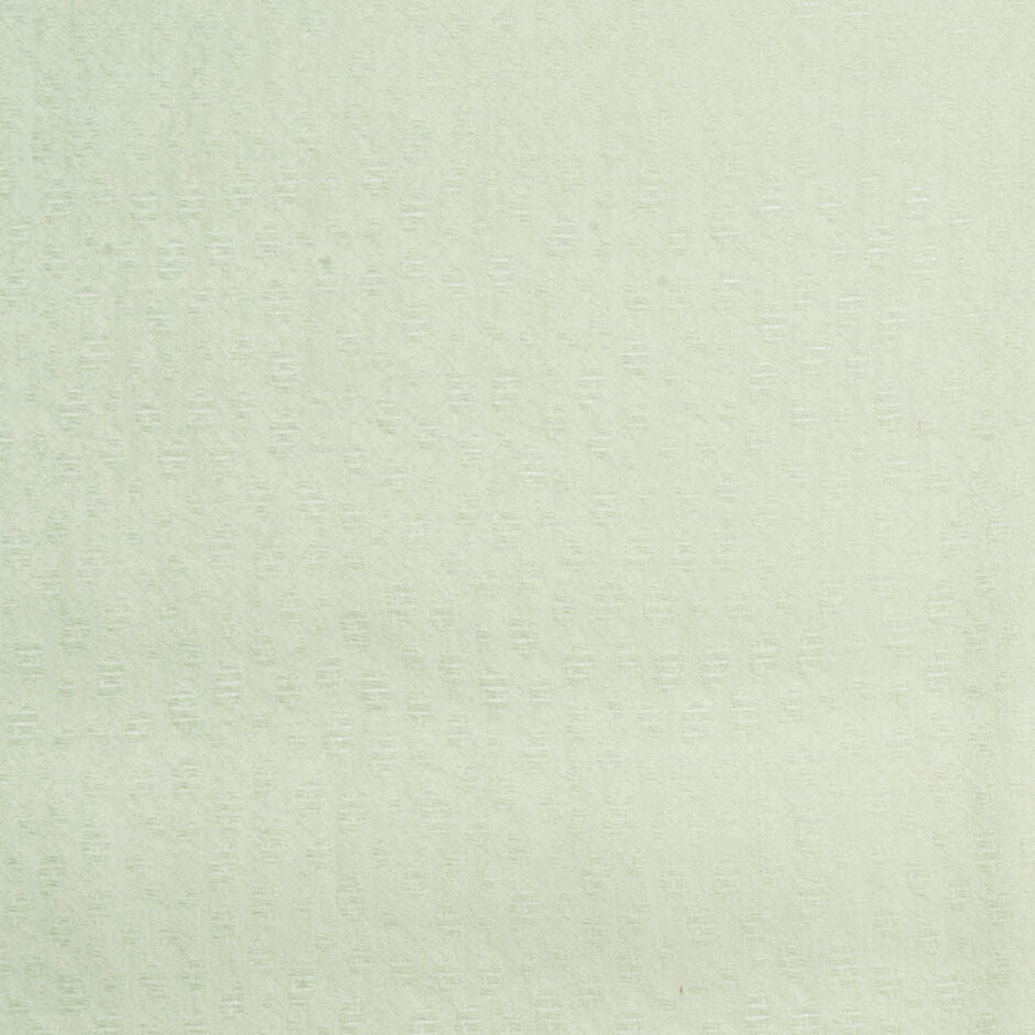 Soft Mint Green Spot Jacquard Organza