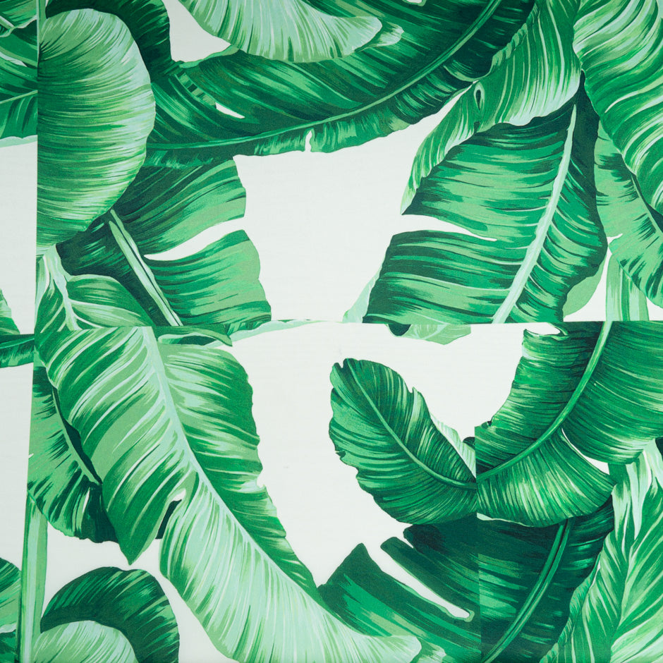 Palm Printed Double Silk Organza