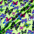 Multi-Coloured Butterfly Printed Green Silk Jacquard