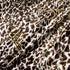 Dark Brown Animal Printed Metallic Silk