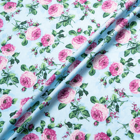 Magenta Rose Printed Sky Blue Cotton
