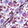Purple & Plum Floral Printed Silk Jacquard