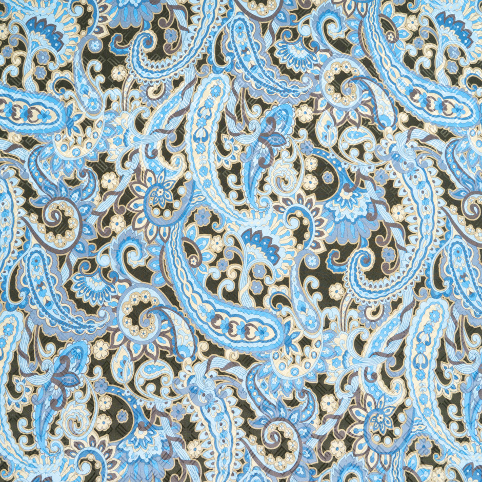 Sky Blue & Dark Green Paisley Printed Silk Jacquard