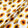 Sunflower Printed Black Pure Silk Satin