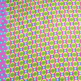 Green Geometric Printed Fuchsia Silk Jacquard