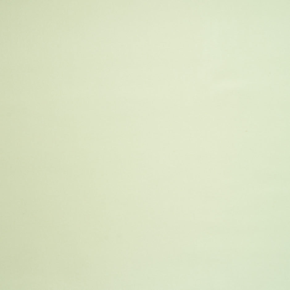 Mint Green Double Silk Gazar