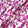Magenta Pink Floral Printed Pure Linen