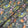 Wild Floral Printed Black Pure Silk Organza