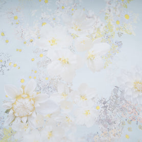 Floral Printed Pale Blue Pure Silk Organza