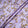 Floral Printed Lavender Pure Silk Metallic Jacquard