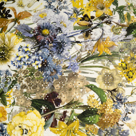 Bold Floral Printed Embroidered Cotton