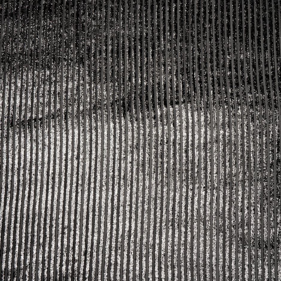 Silver Striped Black Devoré Velvet
