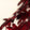 Deep Red Palm Tree Printed Luxury Velvet