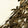 Brown Palm Tree Printed Luxury Velvet
