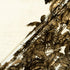 Brown Palm Tree Printed Luxury Velvet