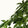 Green Palm Tree Printed Luxury Velvet
