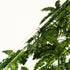 Green Palm Tree Printed Luxury Velvet