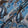 Beige Paisley Printed Blue Superfine Pure Wool
