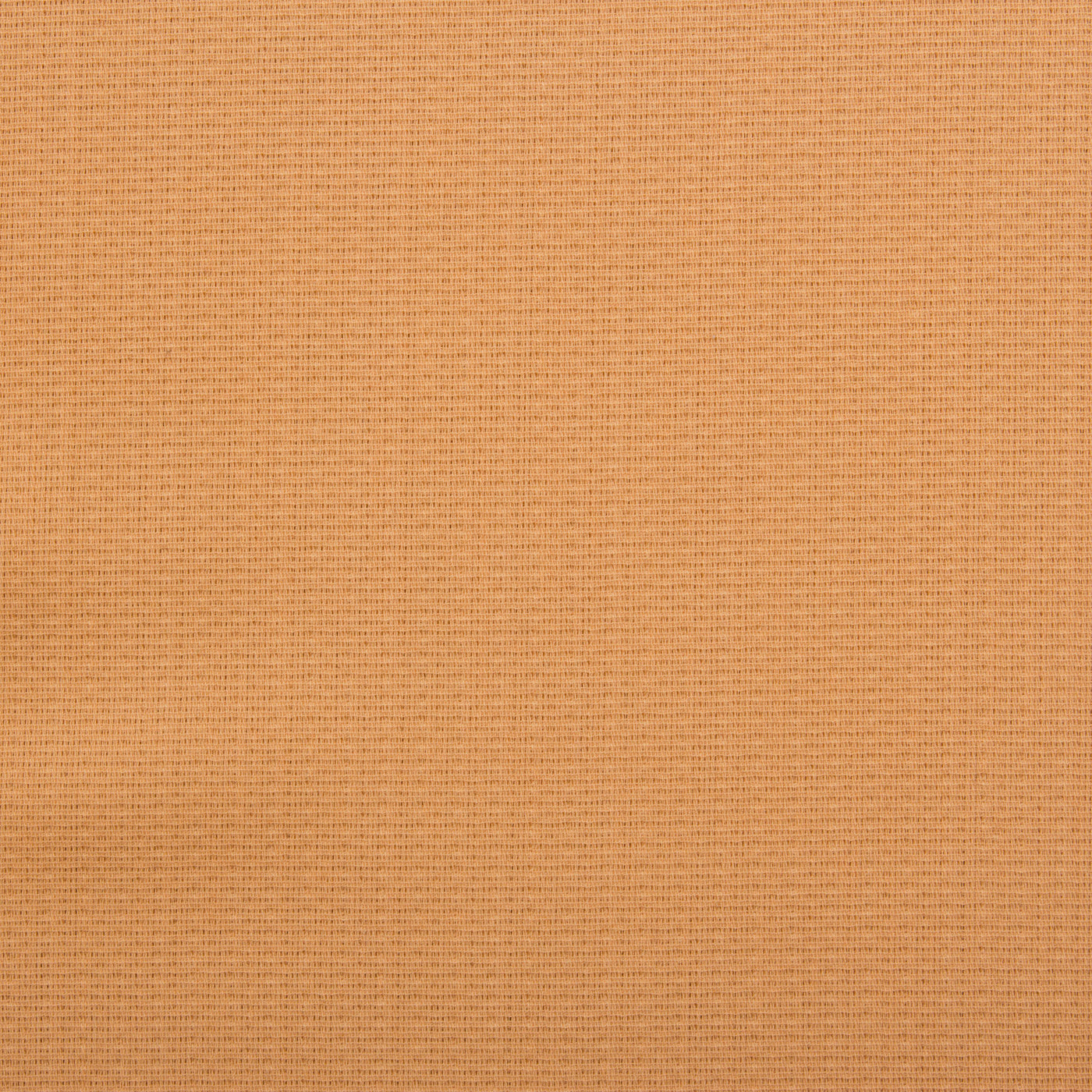 Sand Armani Cotton Blend Cloqué