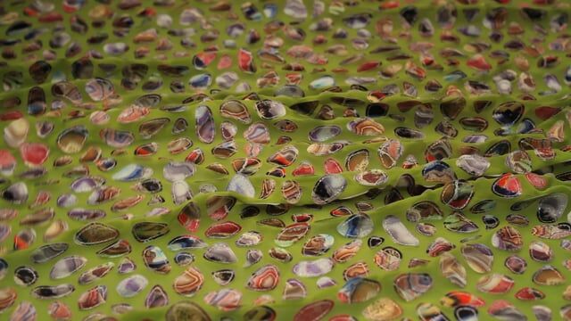 Lime Green Embroidered Silk Georgette Fabric