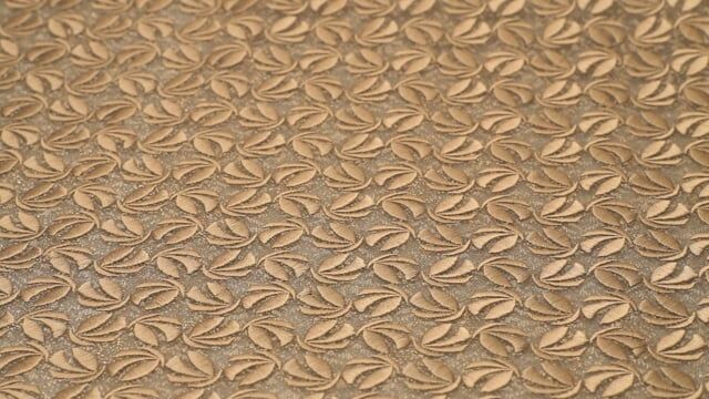 Champagne Beige Embroidered Petal Lace Fabric