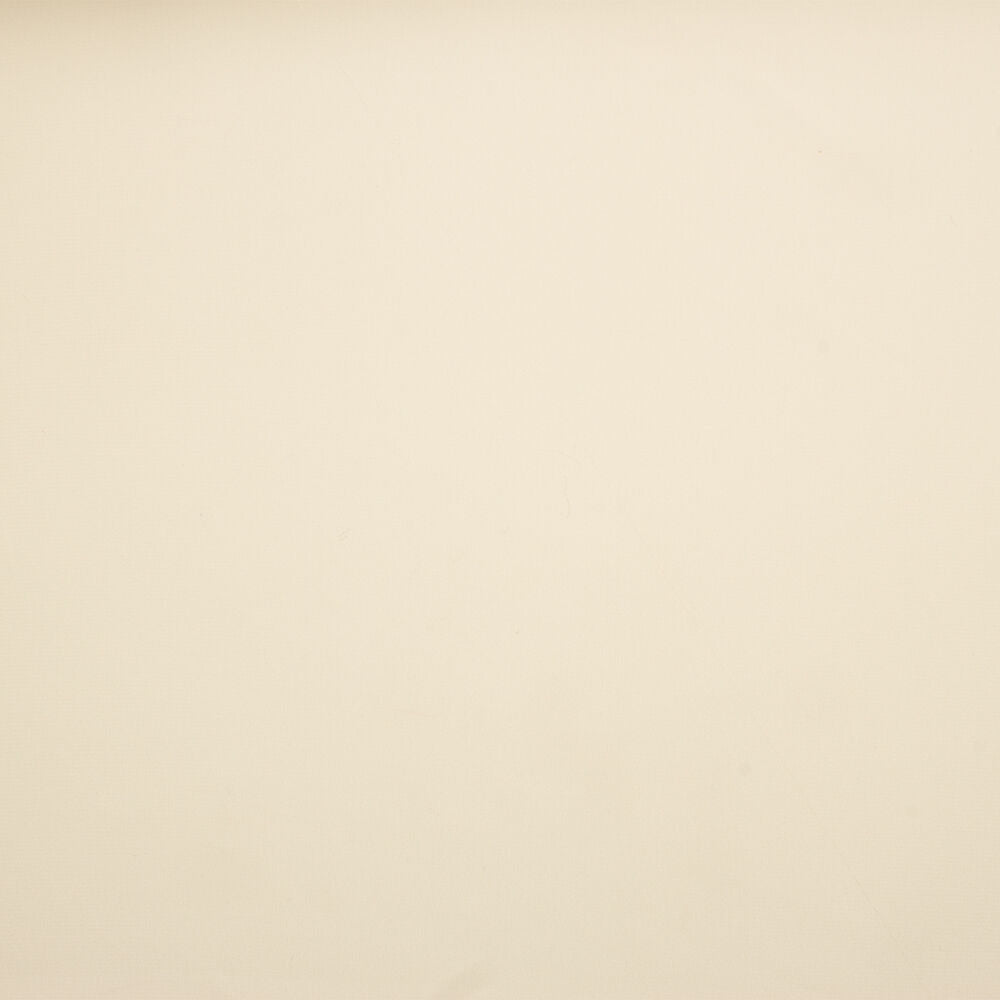 Shell Silk Georgette