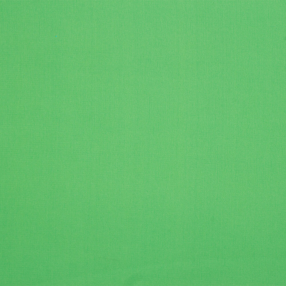 Apple Green Silk Georgette